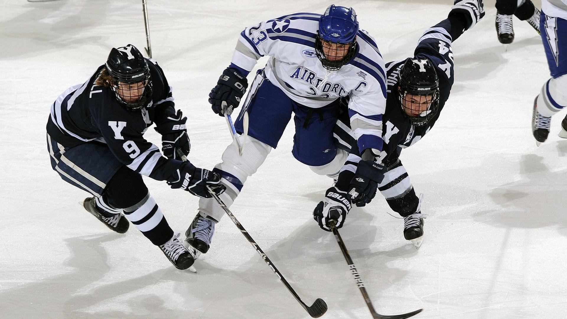 体育赛事观众增长趋势